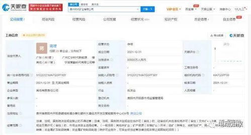 寧德時代成立礦業公司，新材料技術推廣服務助力產業升級
